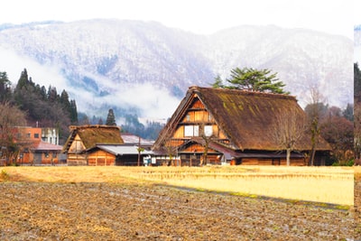 During the day, close to the green grass field and mountain brown wooden house
